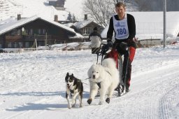 Lenk 2012 SM